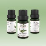 Rich Products_Aroma_100% Essential Oil_Eucalyptus_10 ml_Bottles_Front-Sides