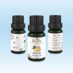 Rich Products_Aroma_Aroma Oil_Ginger_10 ml_Bottles_Front-Sides