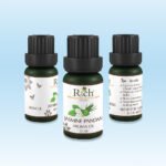 Rich Products_Aroma_Aroma Oil_Jasmine Pandan_10 ml_Bottles_Front-Sides